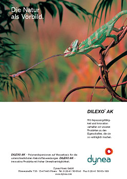 Dynea – Anzeige
