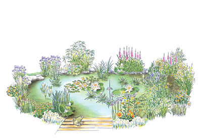 Illustration - Gardena
