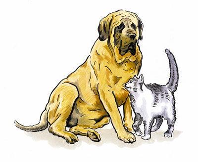 Hund und Katze